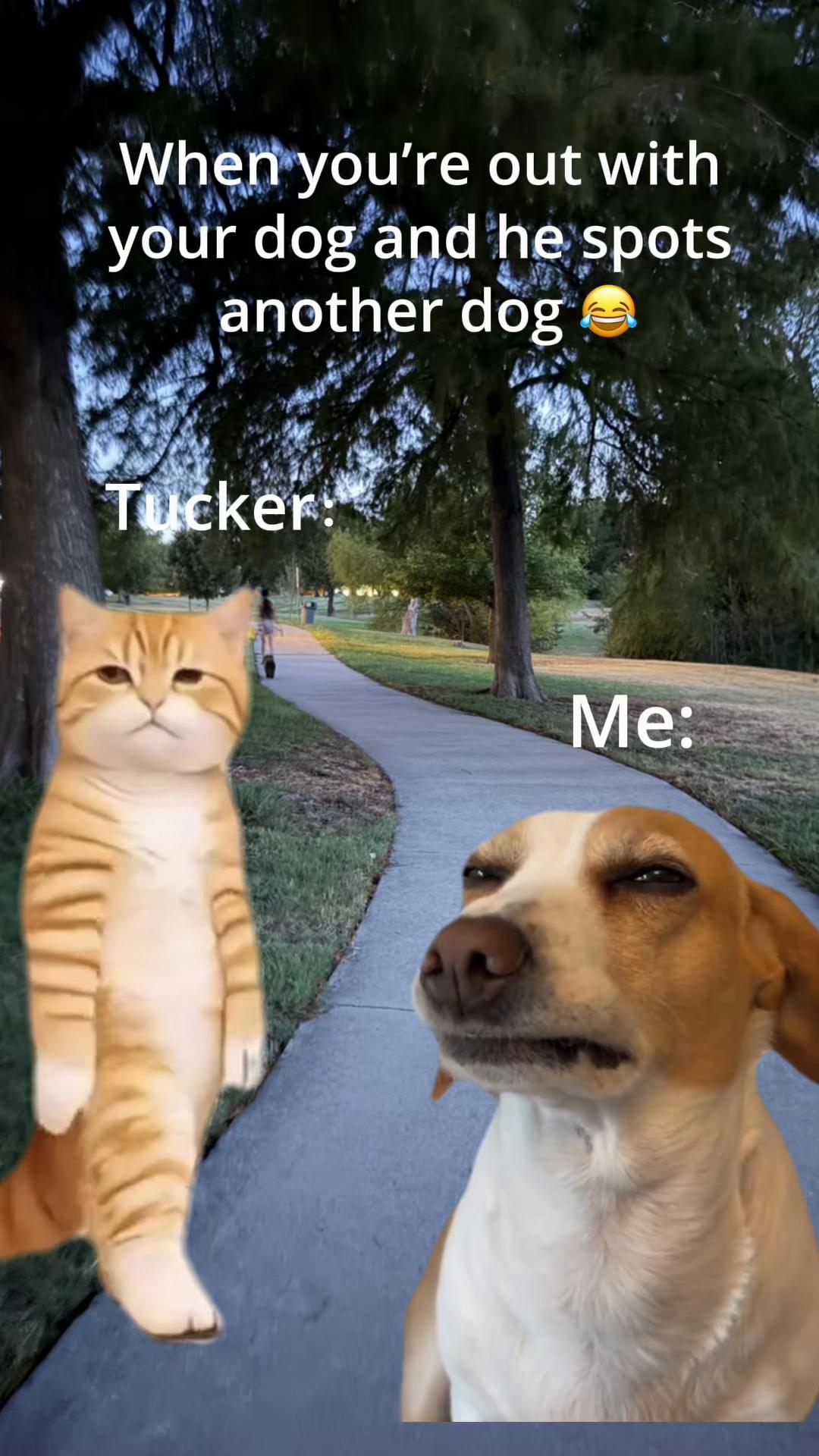 @Oliver Tucker