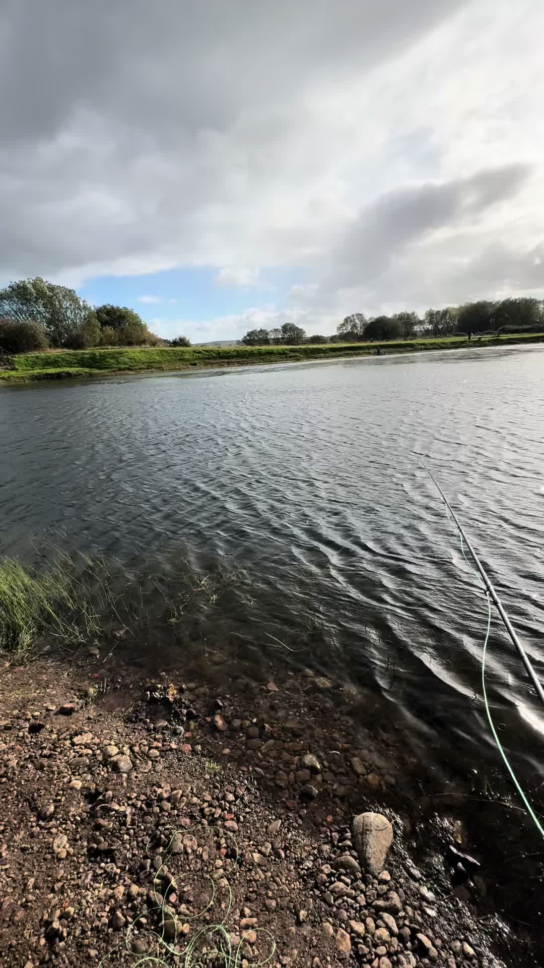 @Alba Trout 🏴