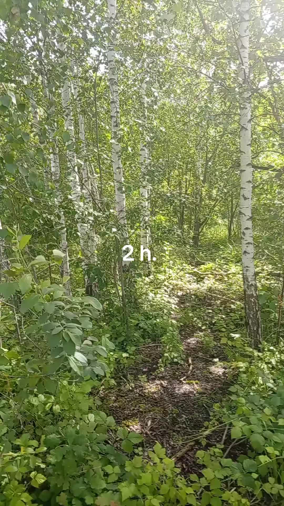 @Egidijus Linkevičius
