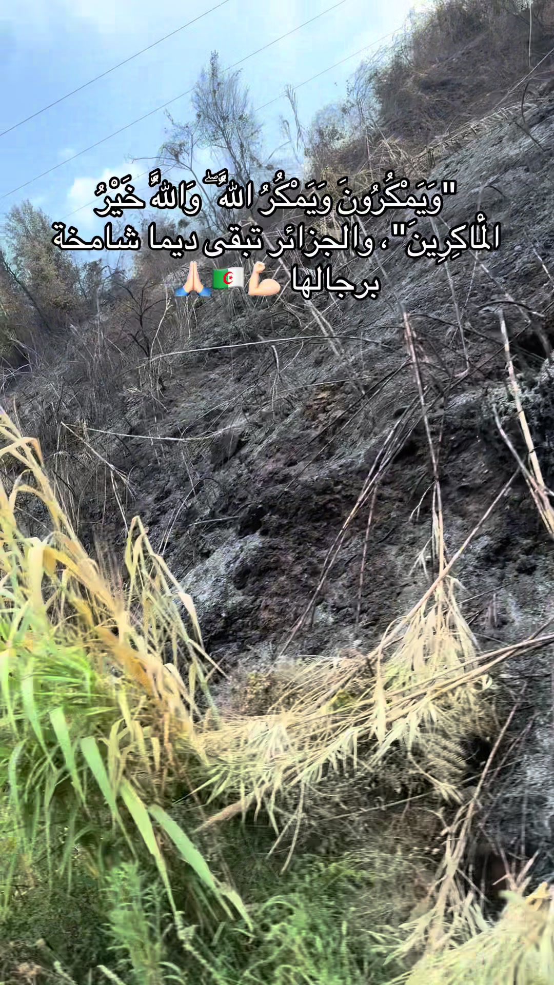 @الكنز❤️اليٌسر🪽✨