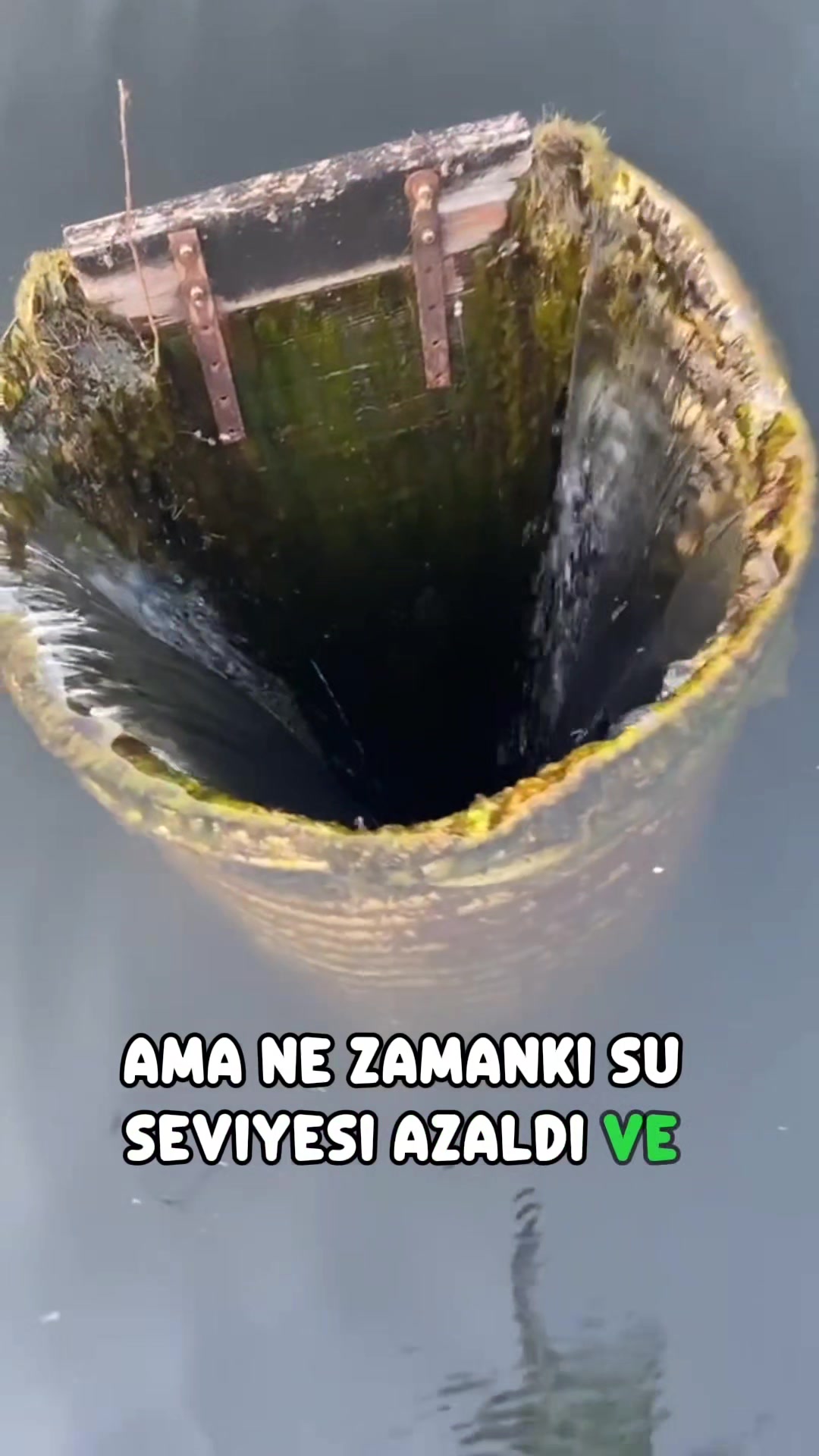 @sonsuzbilgi3