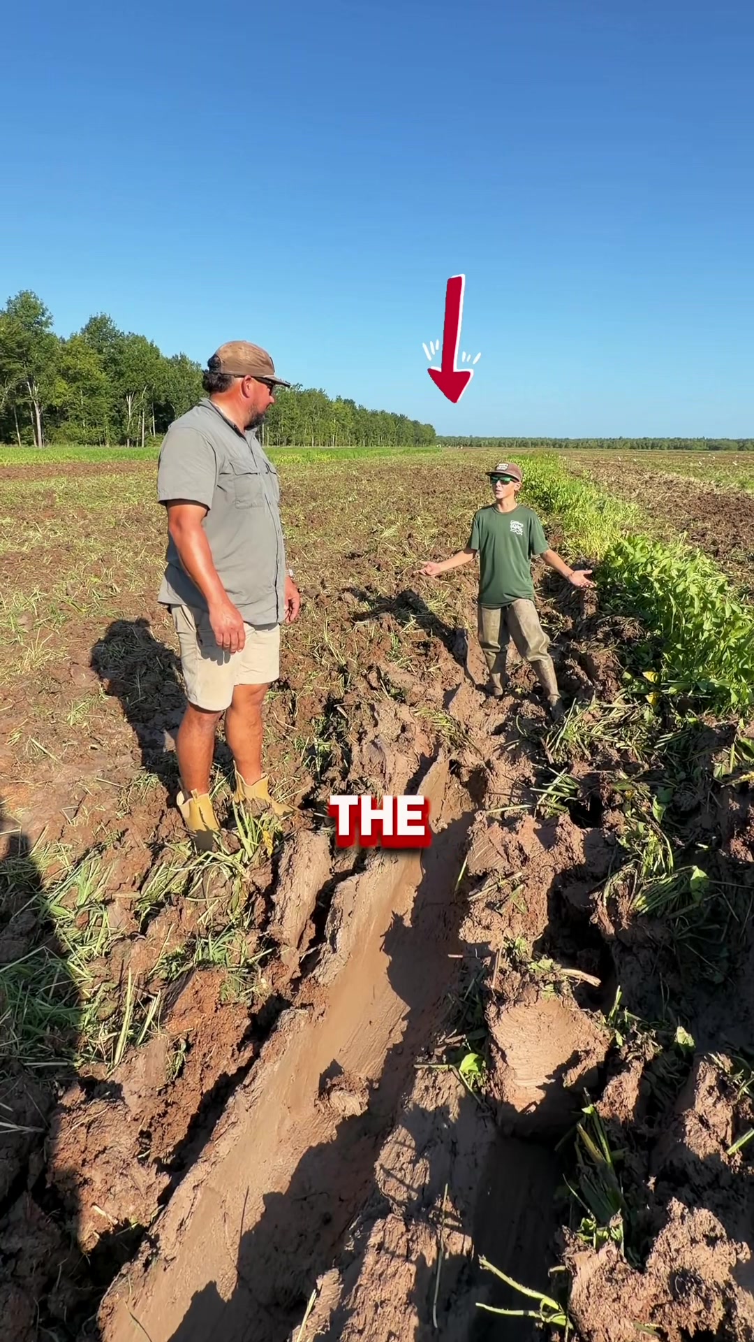 @louisianacrawfishco