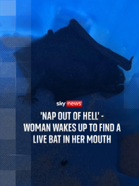 @Sky News