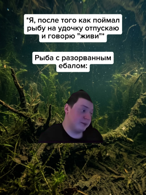 @Жирный заяц