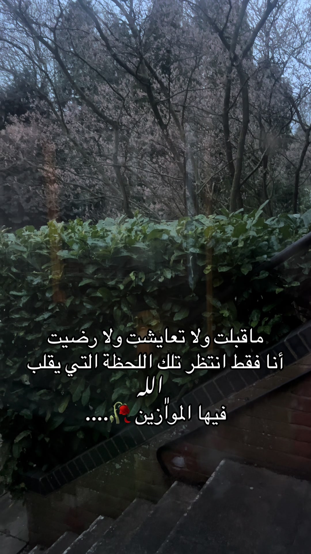 @ليا •|• 𝓸𝓶 𝓸𝓶𝓪𝓻 🎀
