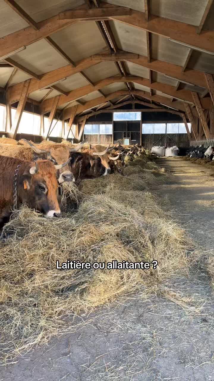 @🌾j'aime pas les veganes 🌾