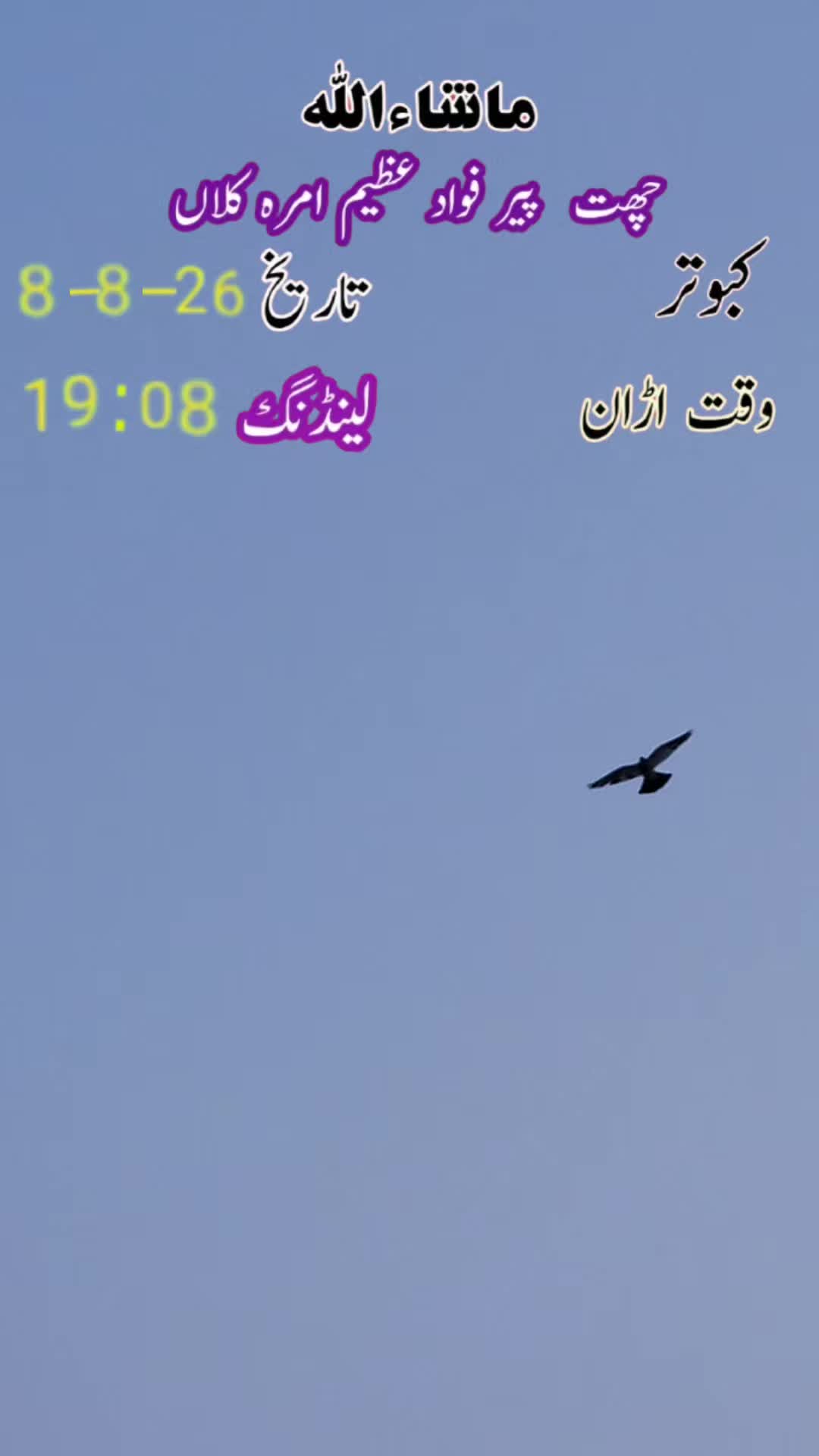 @amrakalan5