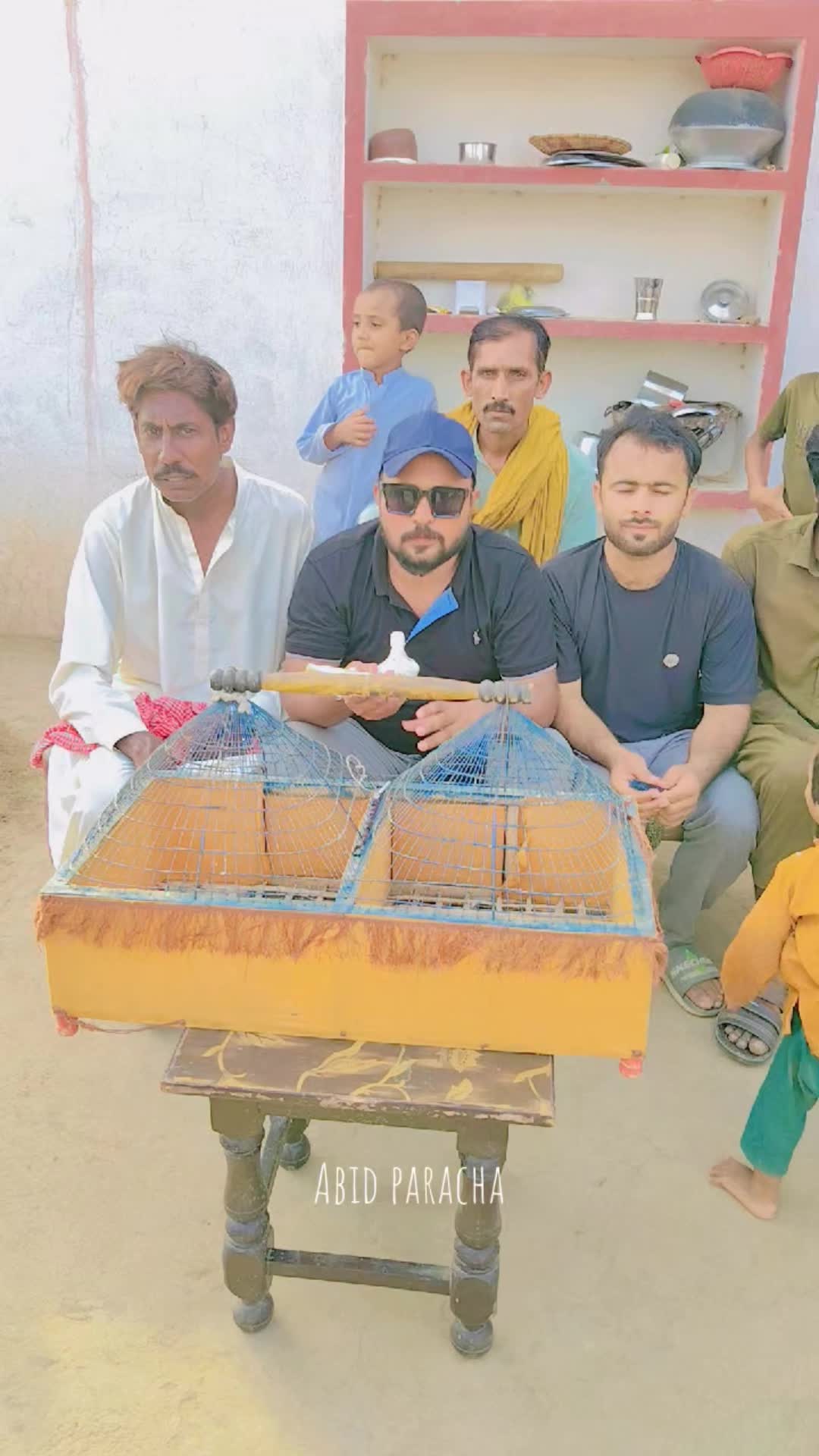 @پراچہ کبوتر کلب💪💪