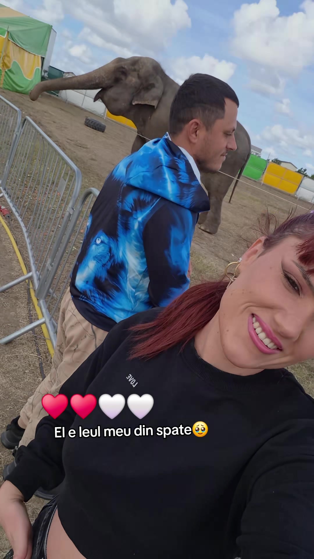 @danielaloveionut15