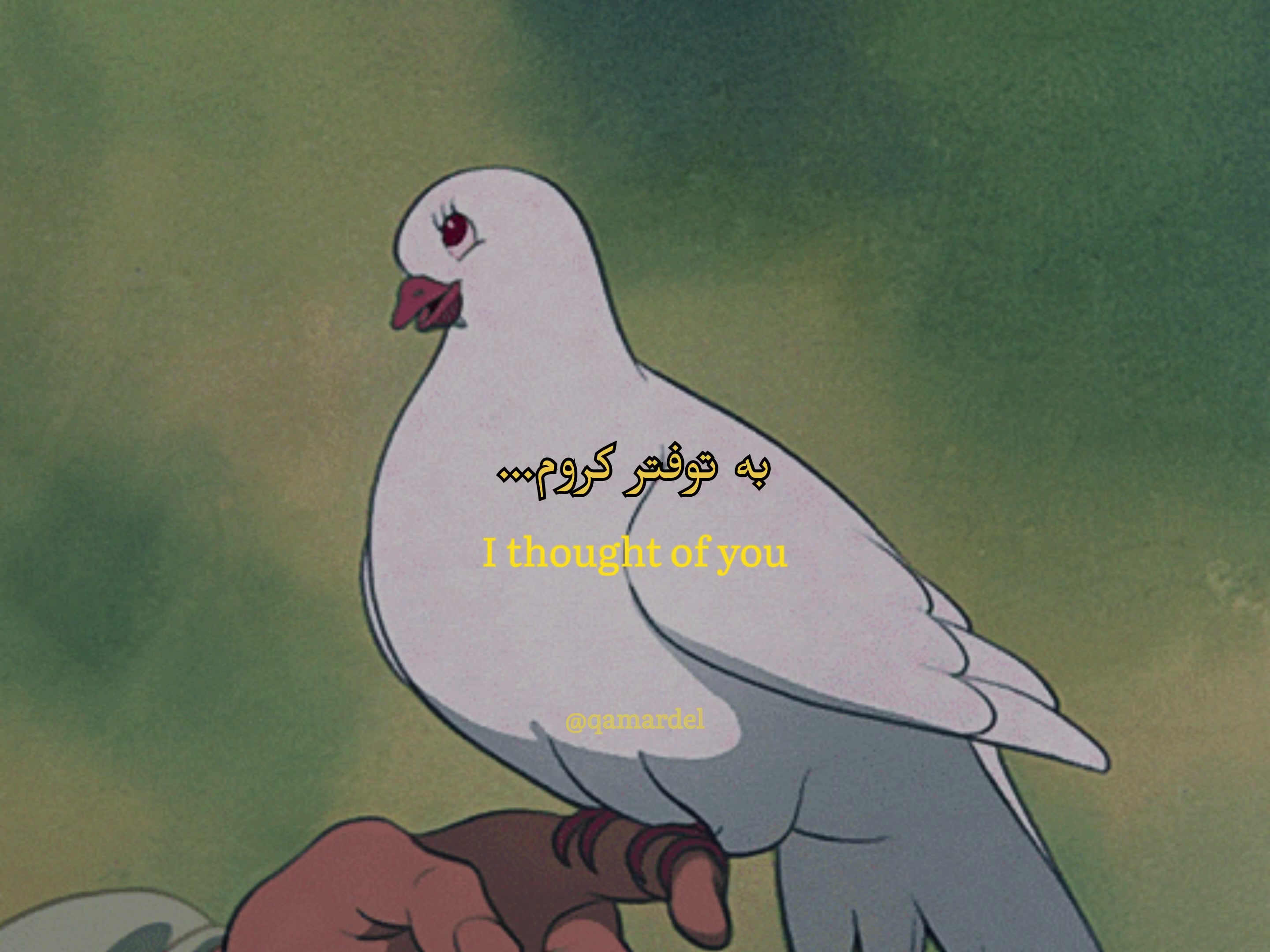 @✧