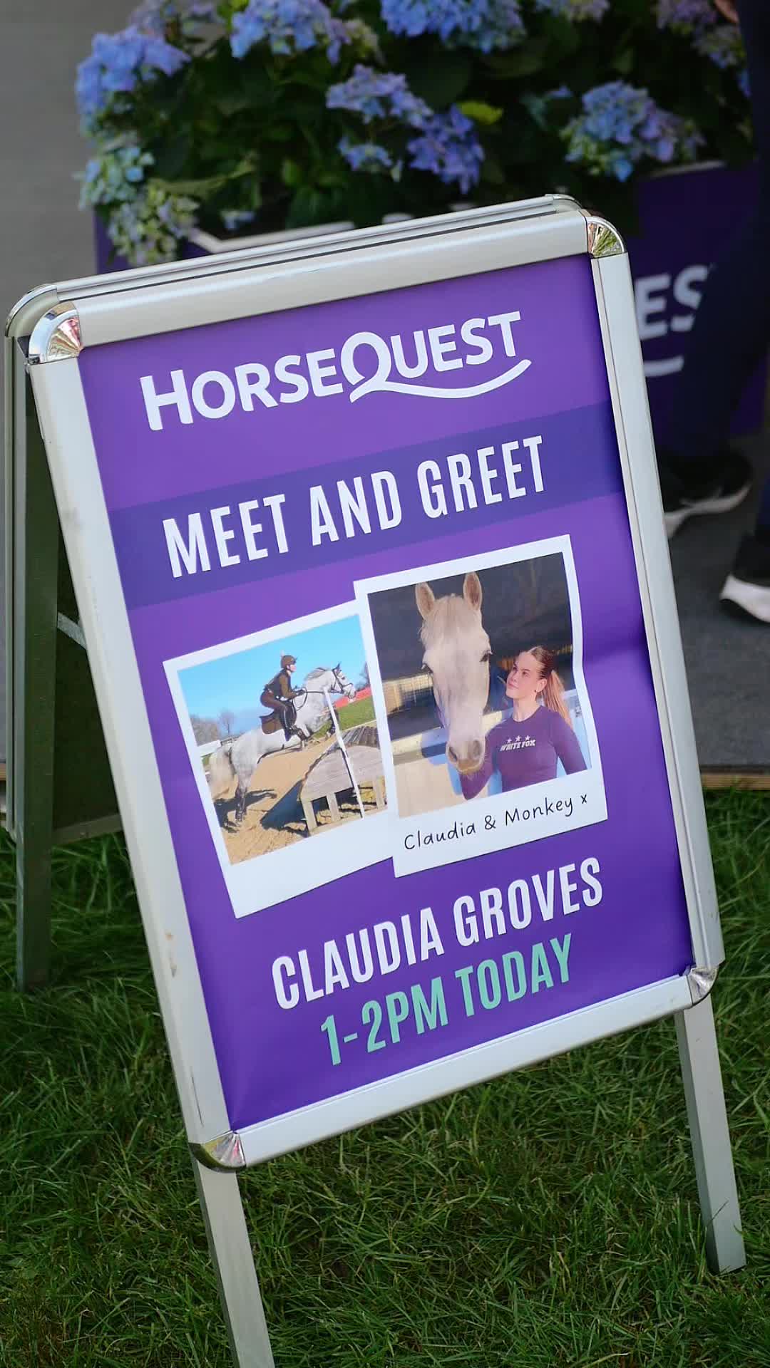 @HorseQuest - Horses for Sale