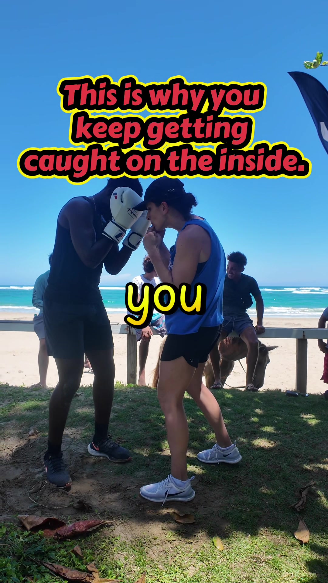@Samantha Romiti