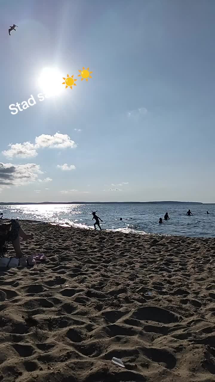 @sevimcannefes