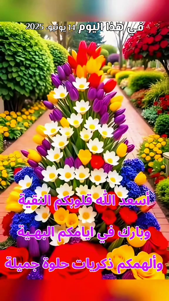 @مصطفى فيلسوف🏺