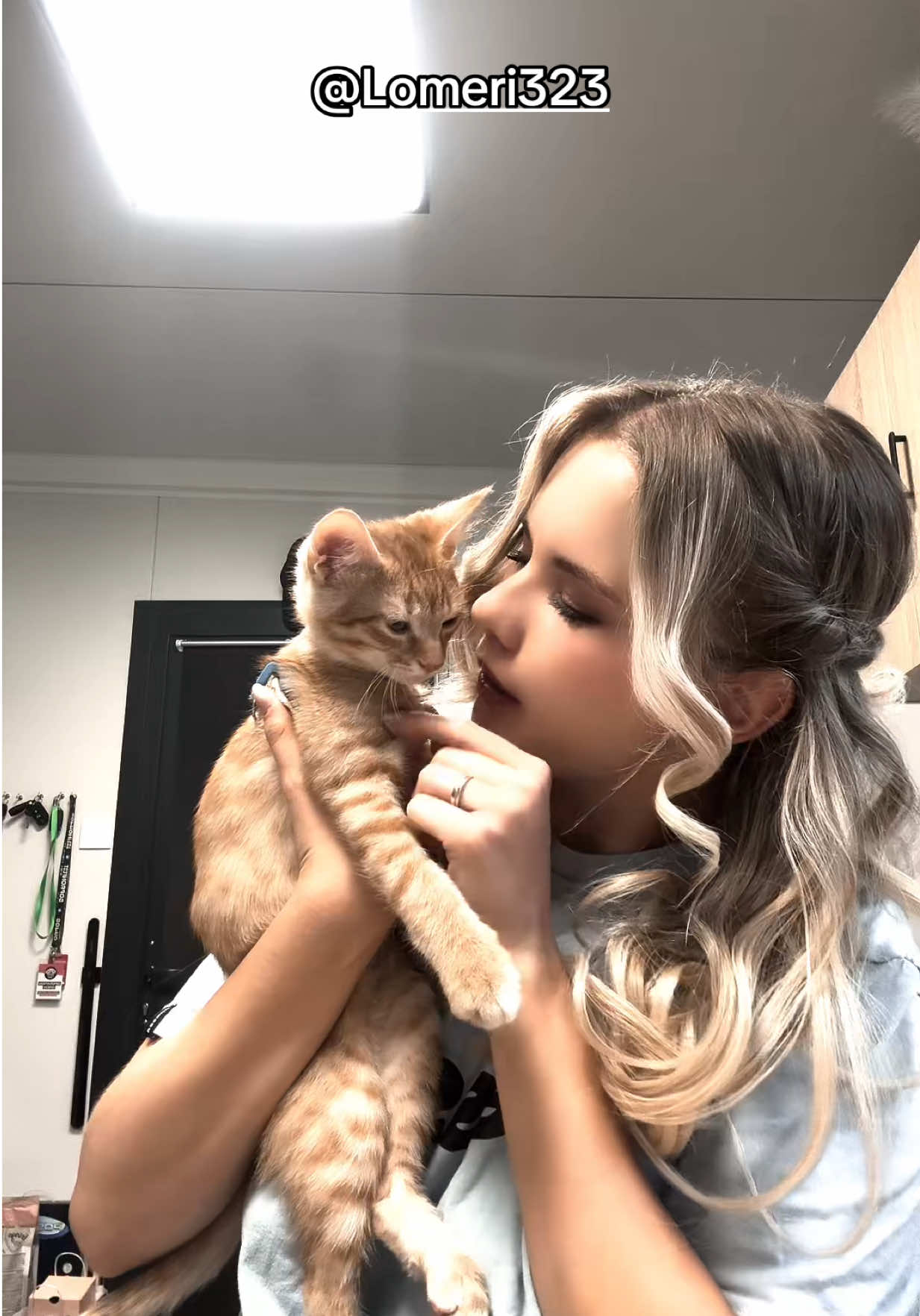 @lemonie323