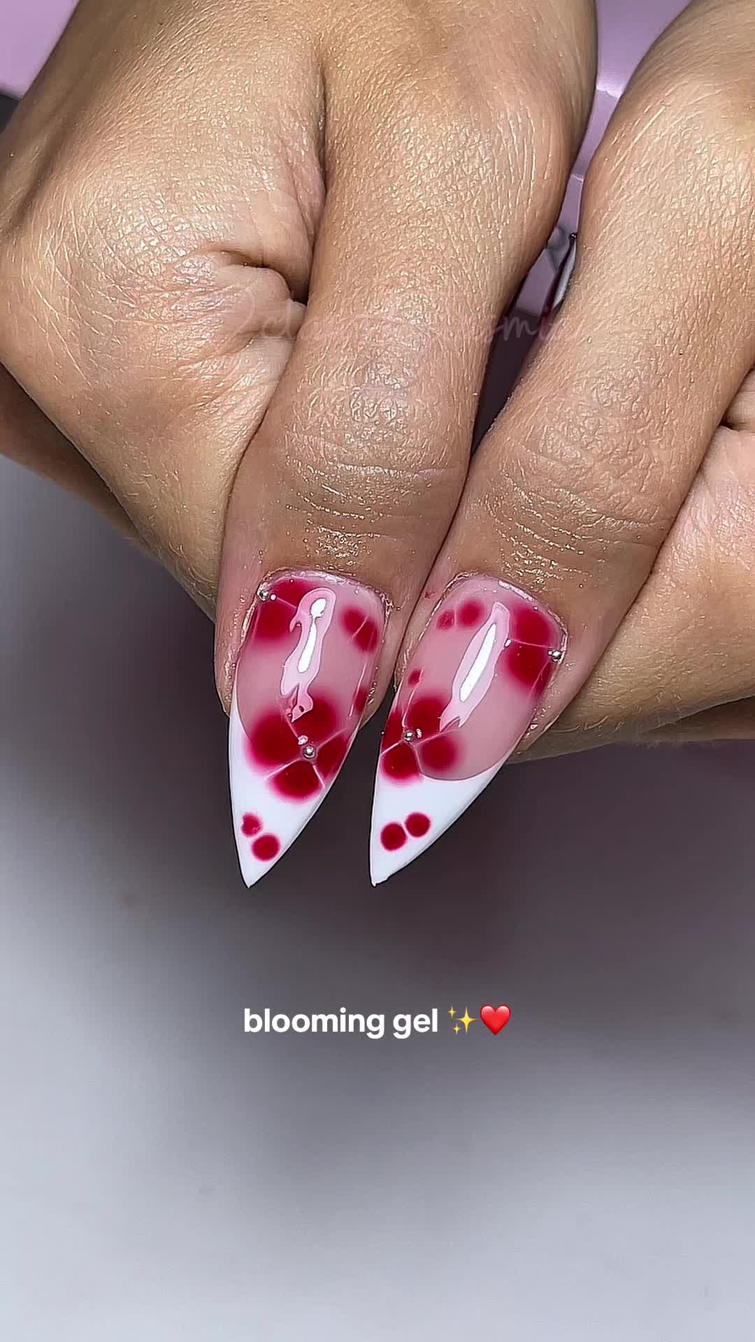 @clawsbytasmia ✨