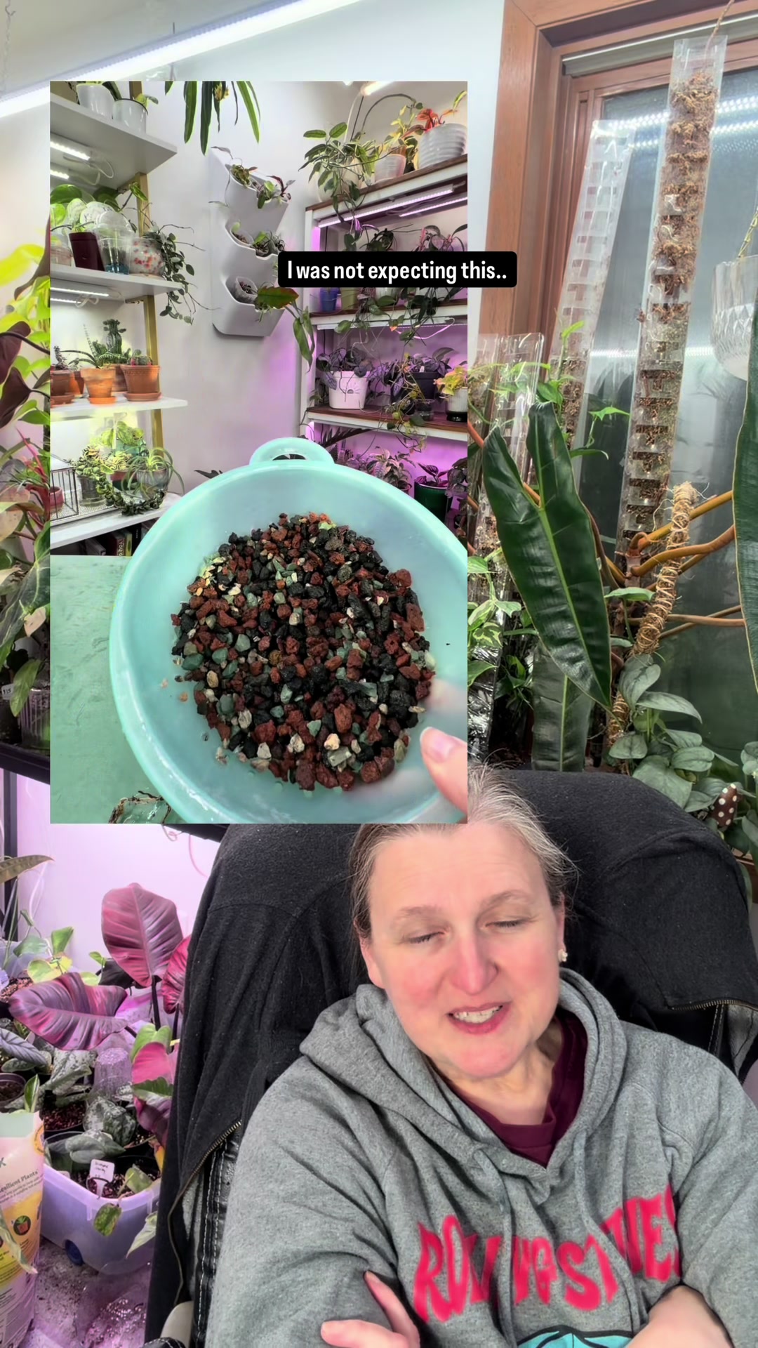 @Pothosiblyaboutplants