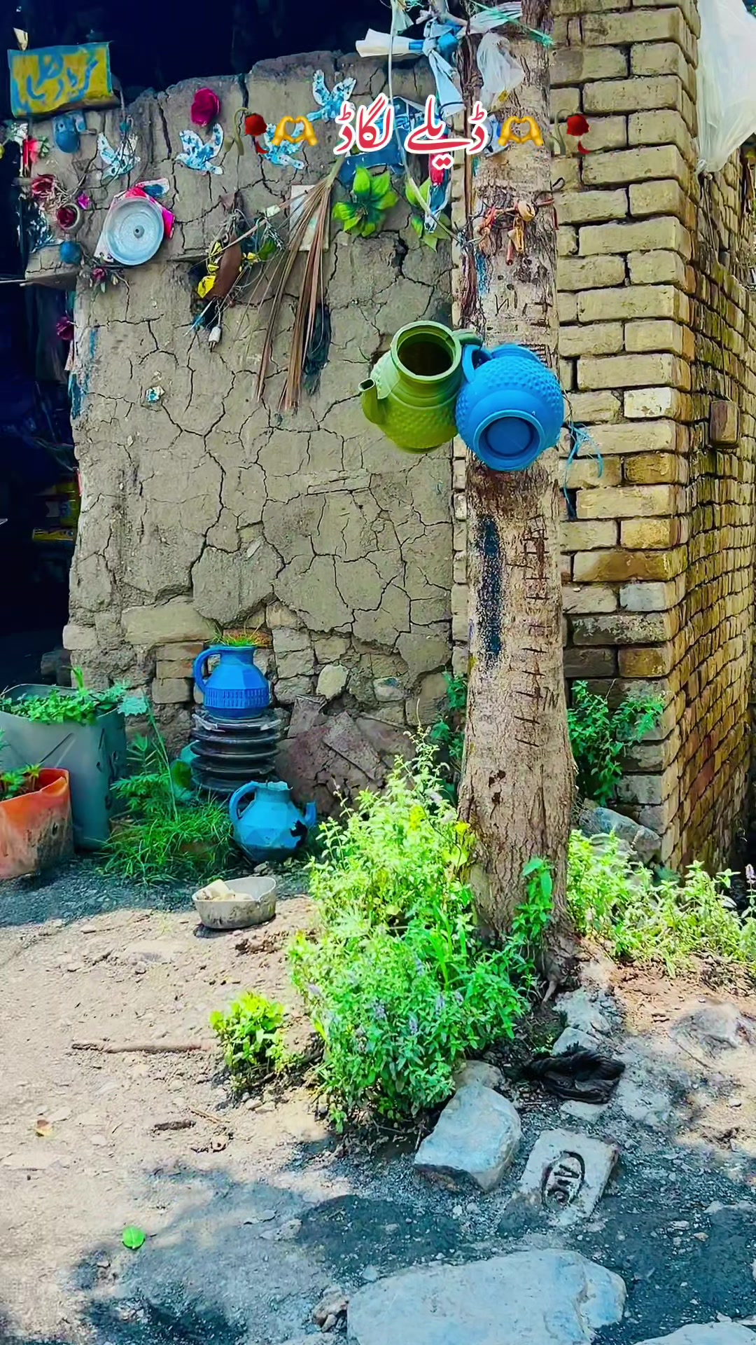 @𝐒𝐡𝐞𝐫 𝐁𝐚𝐝𝐬𝐡𝐚𝐡 🌿