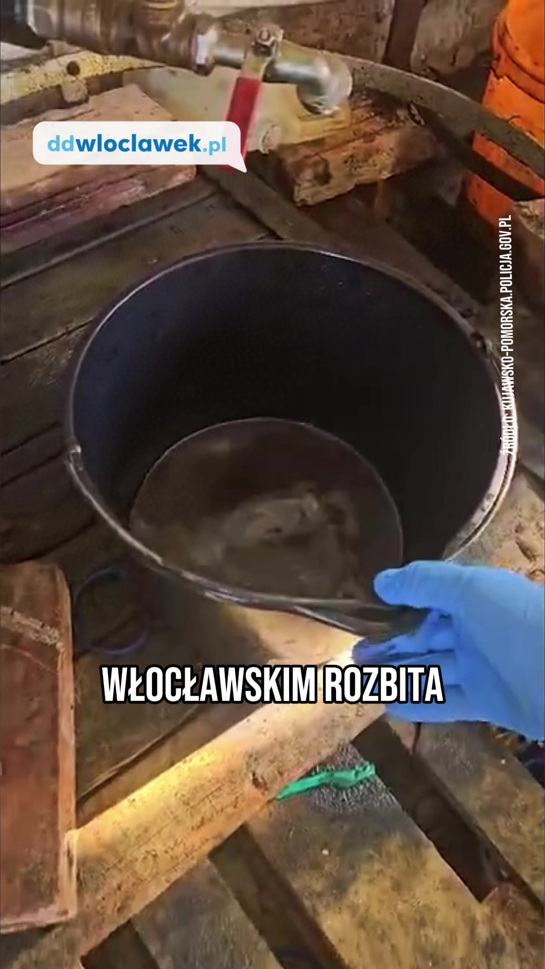 @ddwloclawek