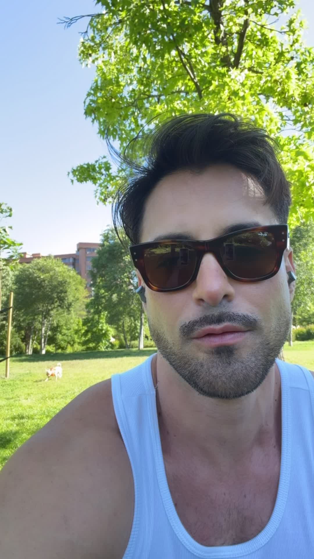 @Thiago_Lazzarato