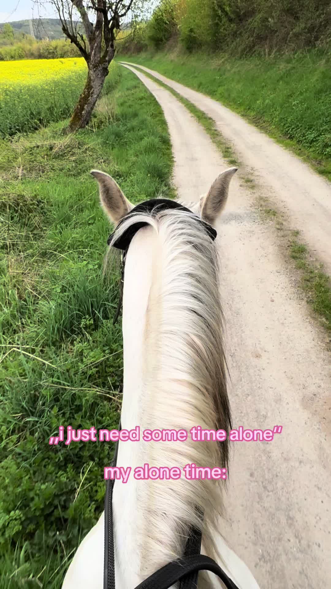 @leann.equest