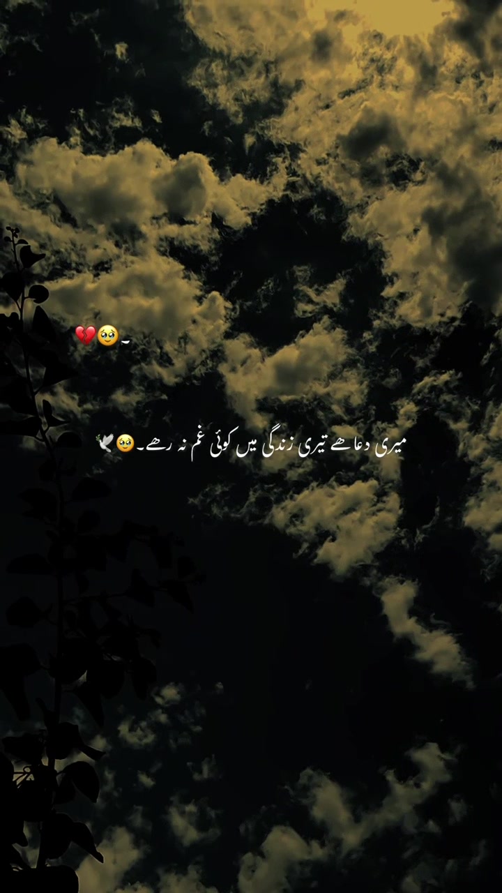 @🕊️
