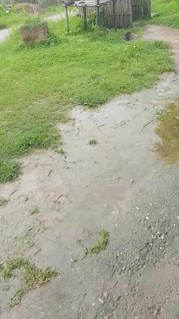 @Jhuma Khatiwada