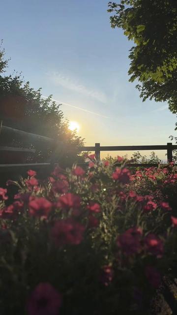 @🍀🇨🇭ĹOS ĹOcOS ScĤw𝐞iz🇨🇭🍀