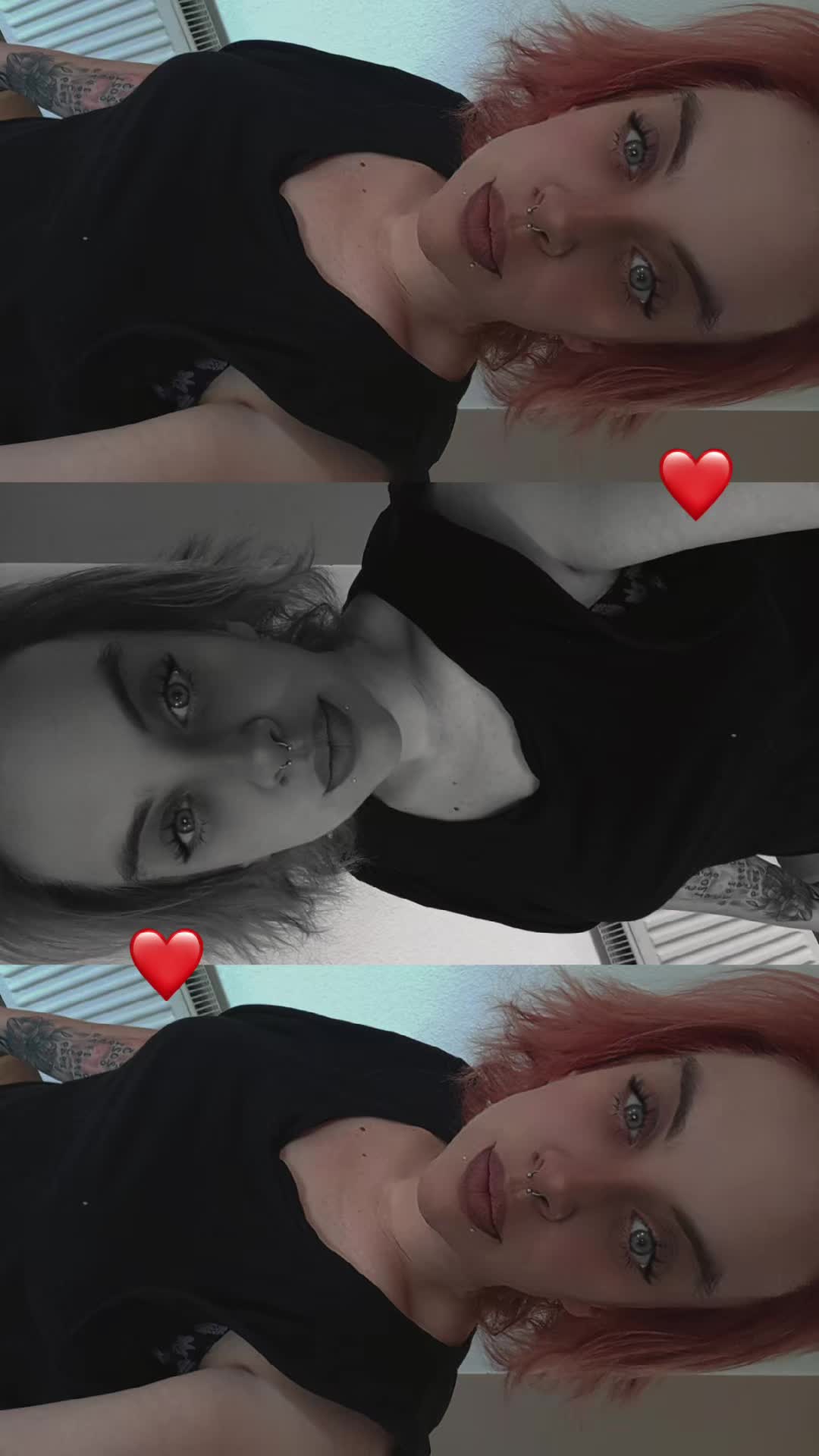 @terror_eule