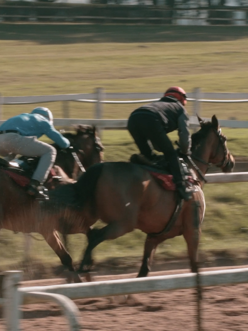 @Gallop TV
