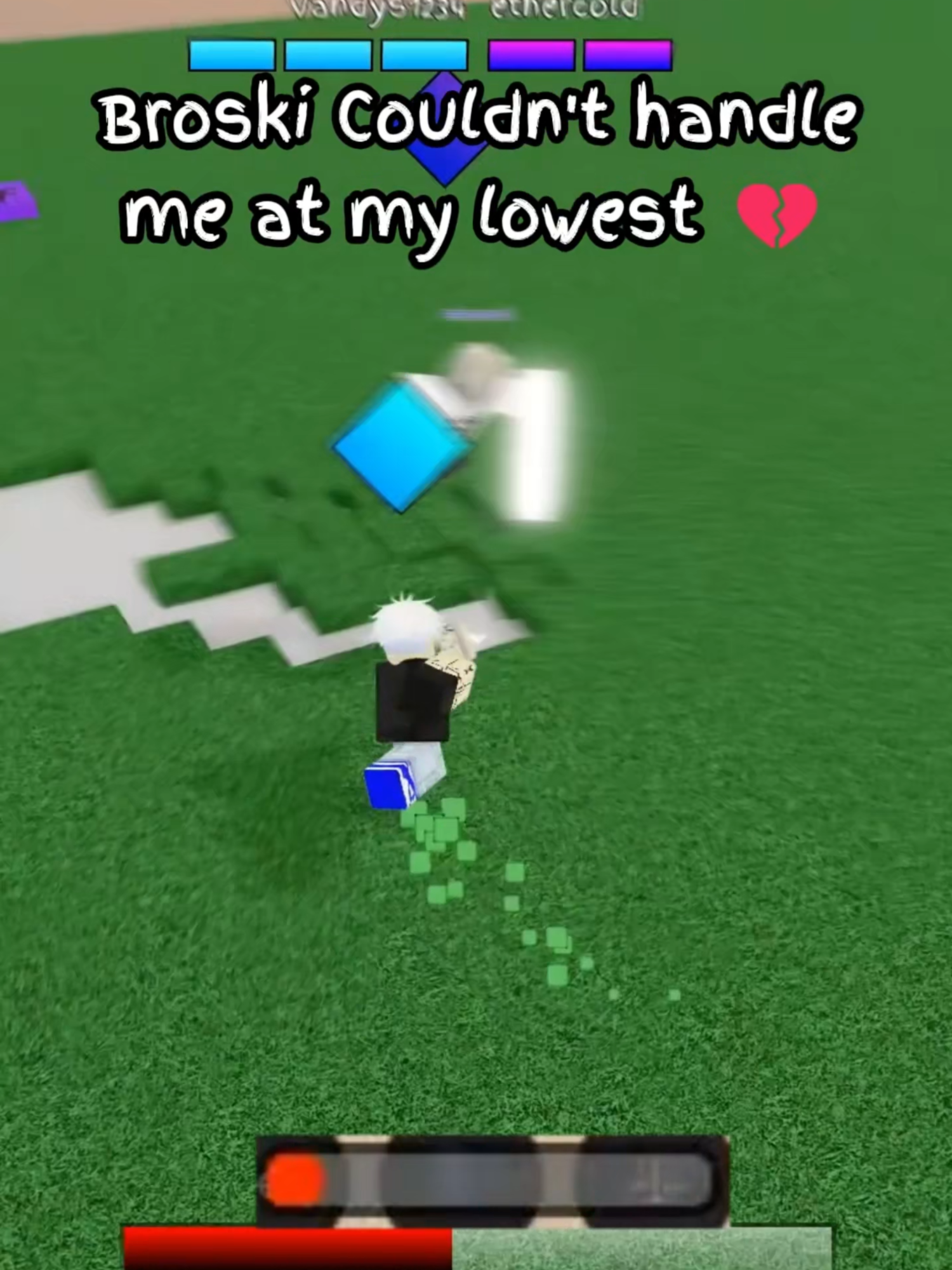 @vandeeztsb_