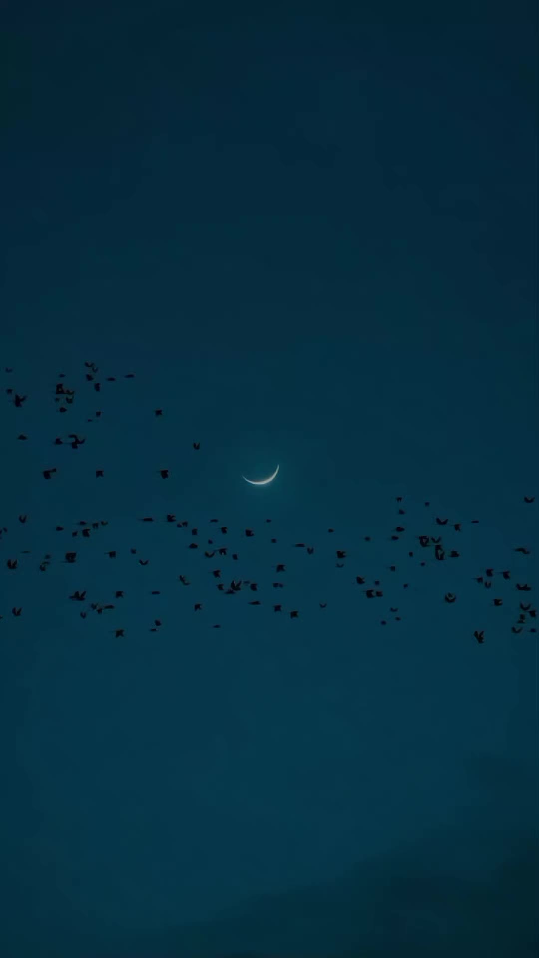 @ℕ𝔸𝕁𝔸𝔽_𝕁𝕌𝕋𝕥 😎