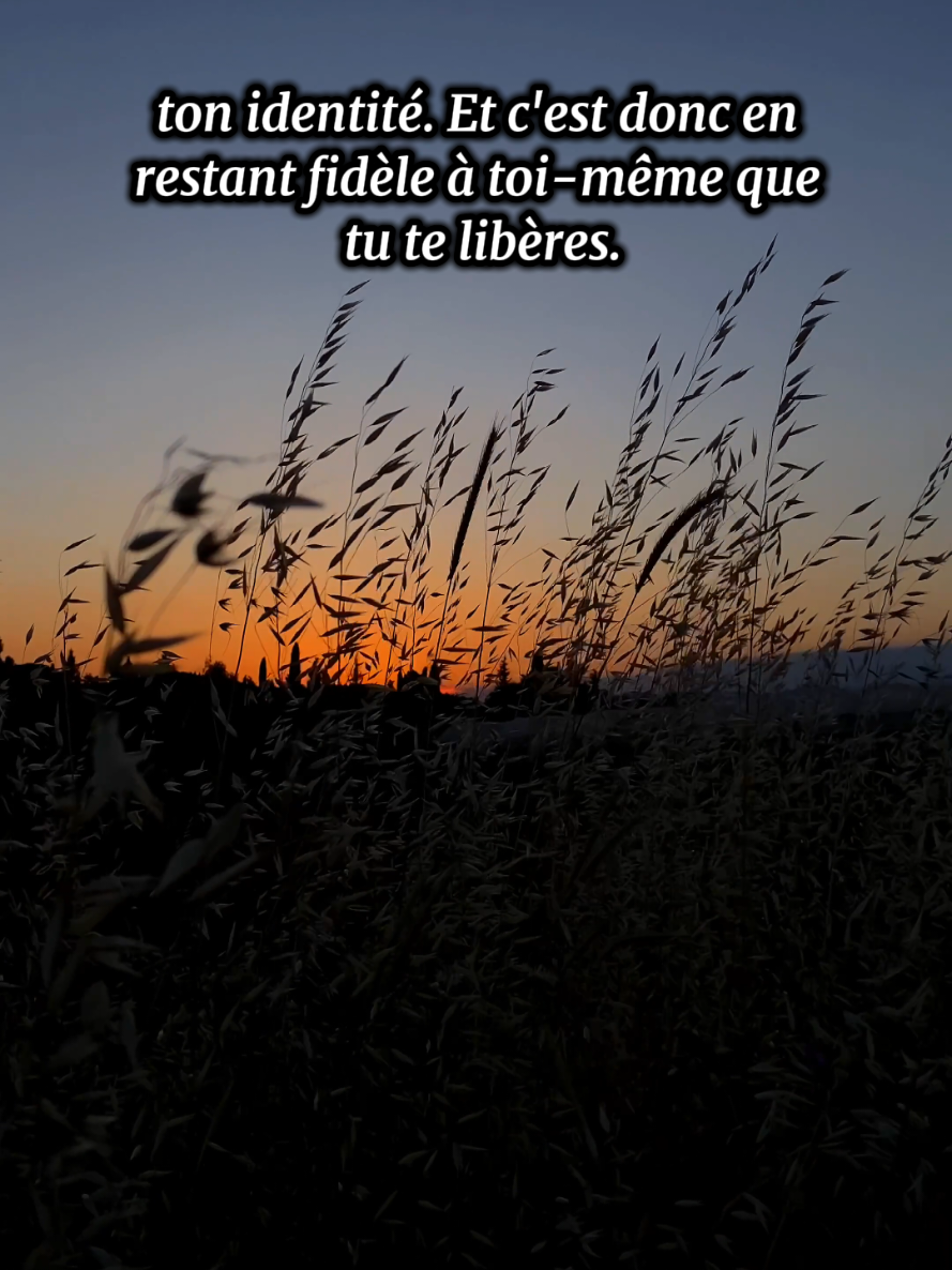 @Citations26