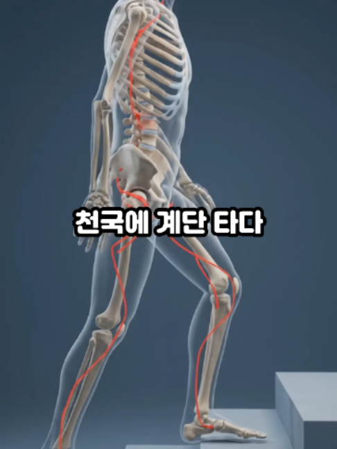@견우한의원