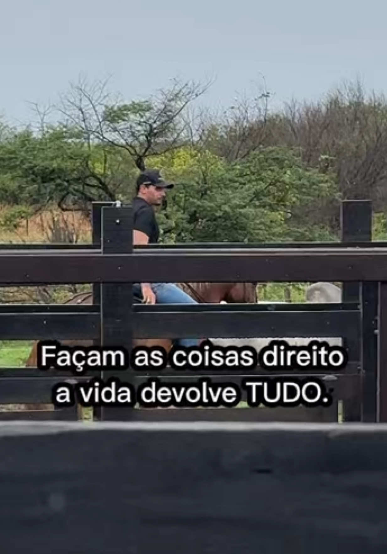 @Shop do Gado