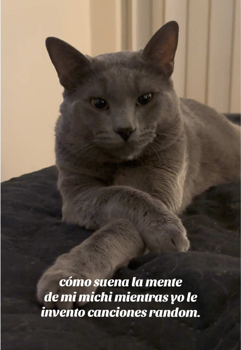 @Yori 🧸