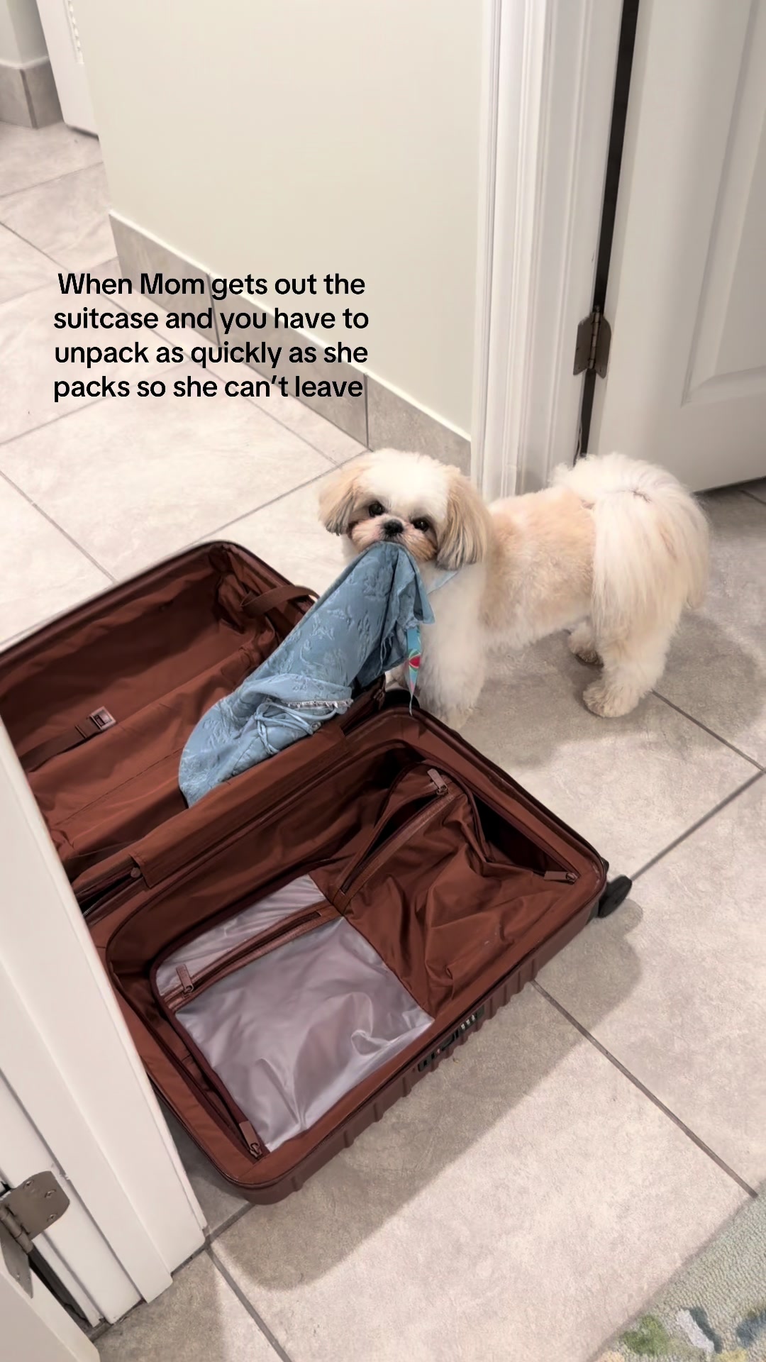 @Rufus