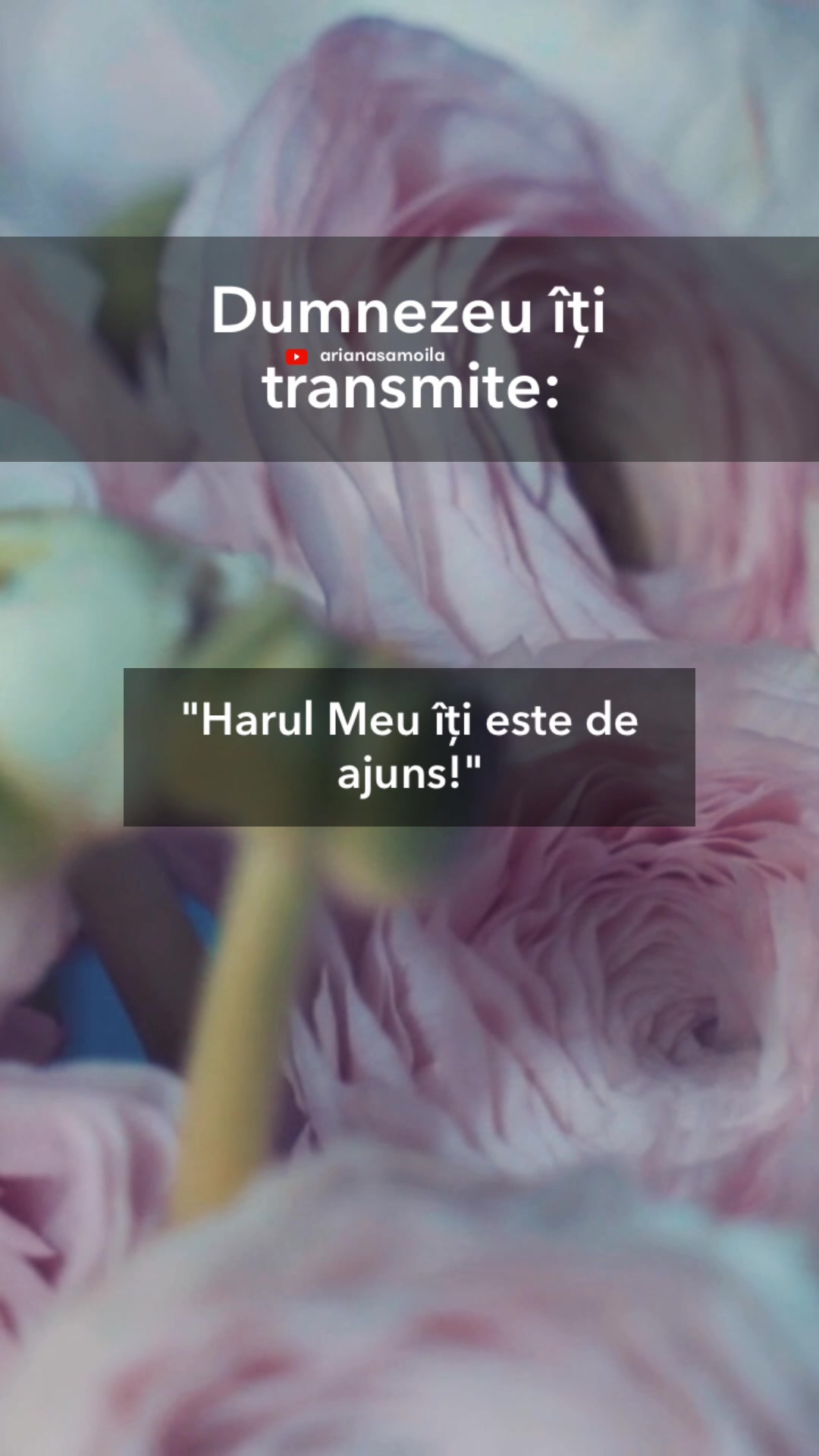 @Ariana Samoilă