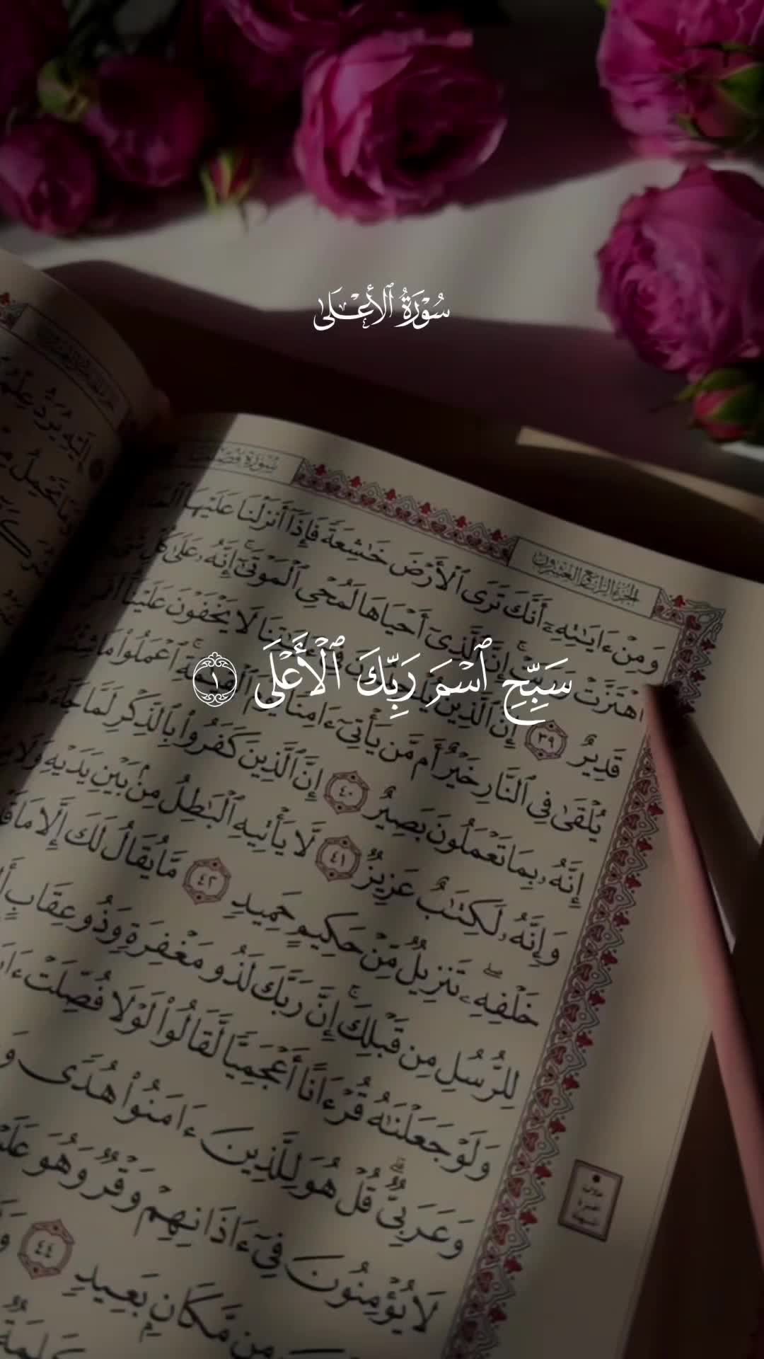 @ألا بذكر الله تطمئن القلوب 🤍