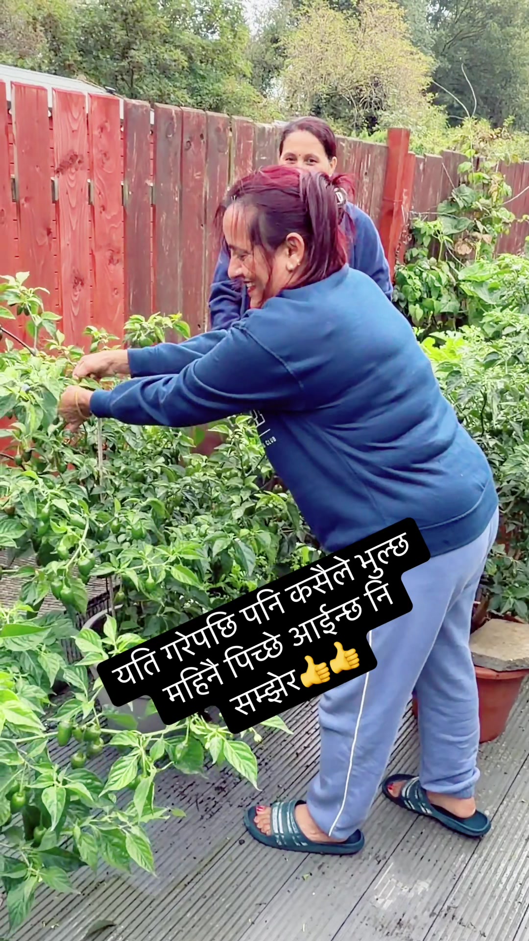 @SUMITRA SAPKOTA KANDEL