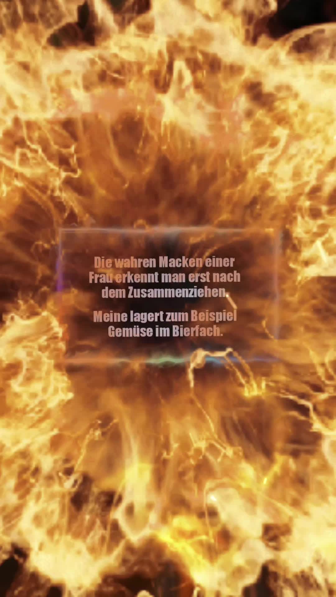 @feichtnvernichter