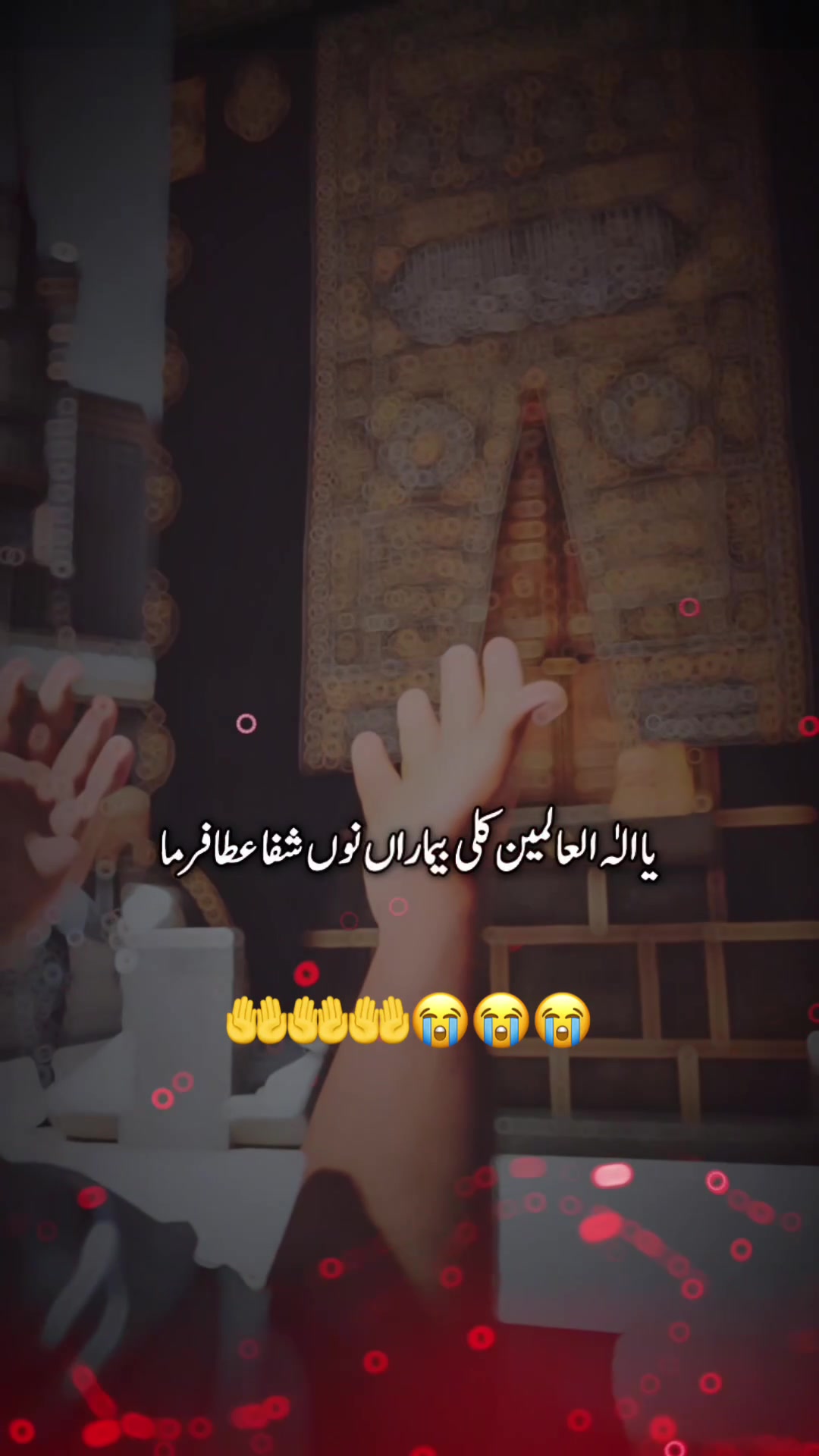 @noor