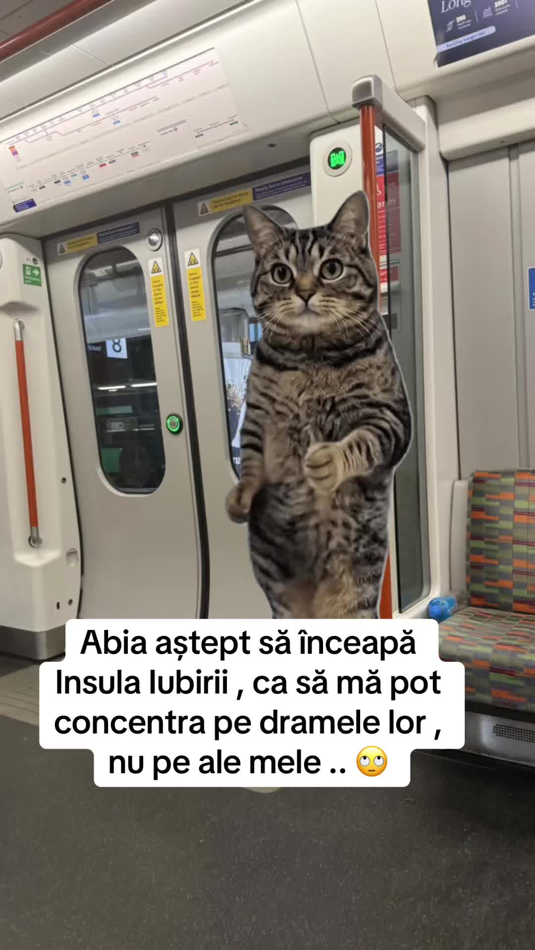 @🇬🇧 Irina 🇹🇩