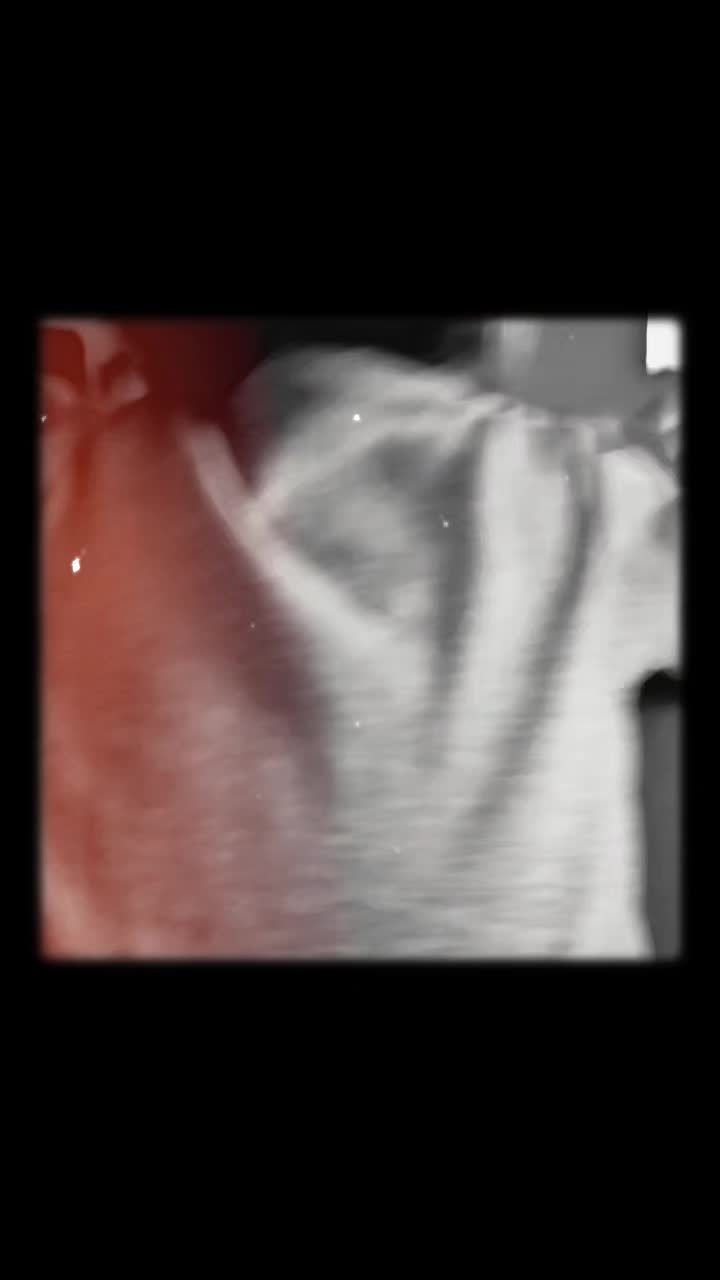 @sumayyah087
