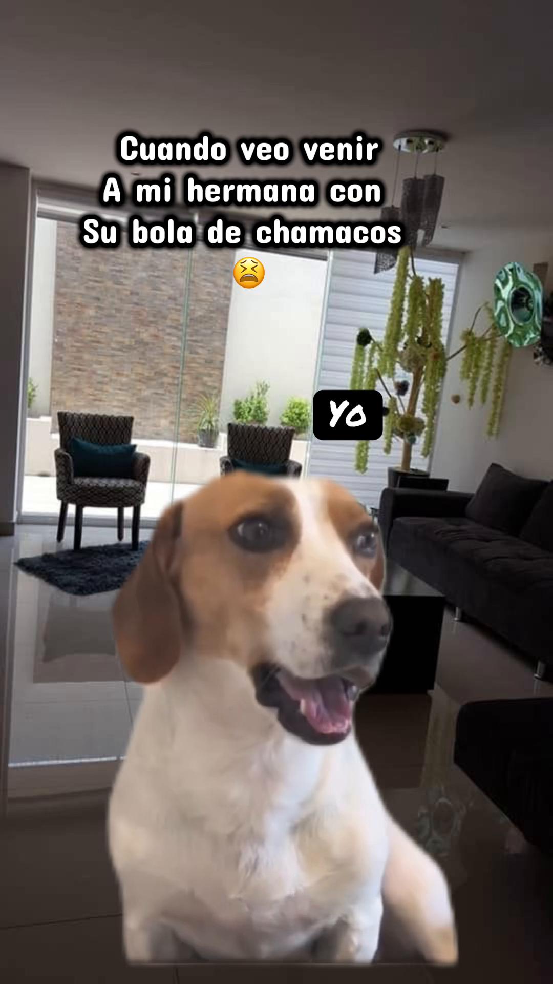 @ANA🌸