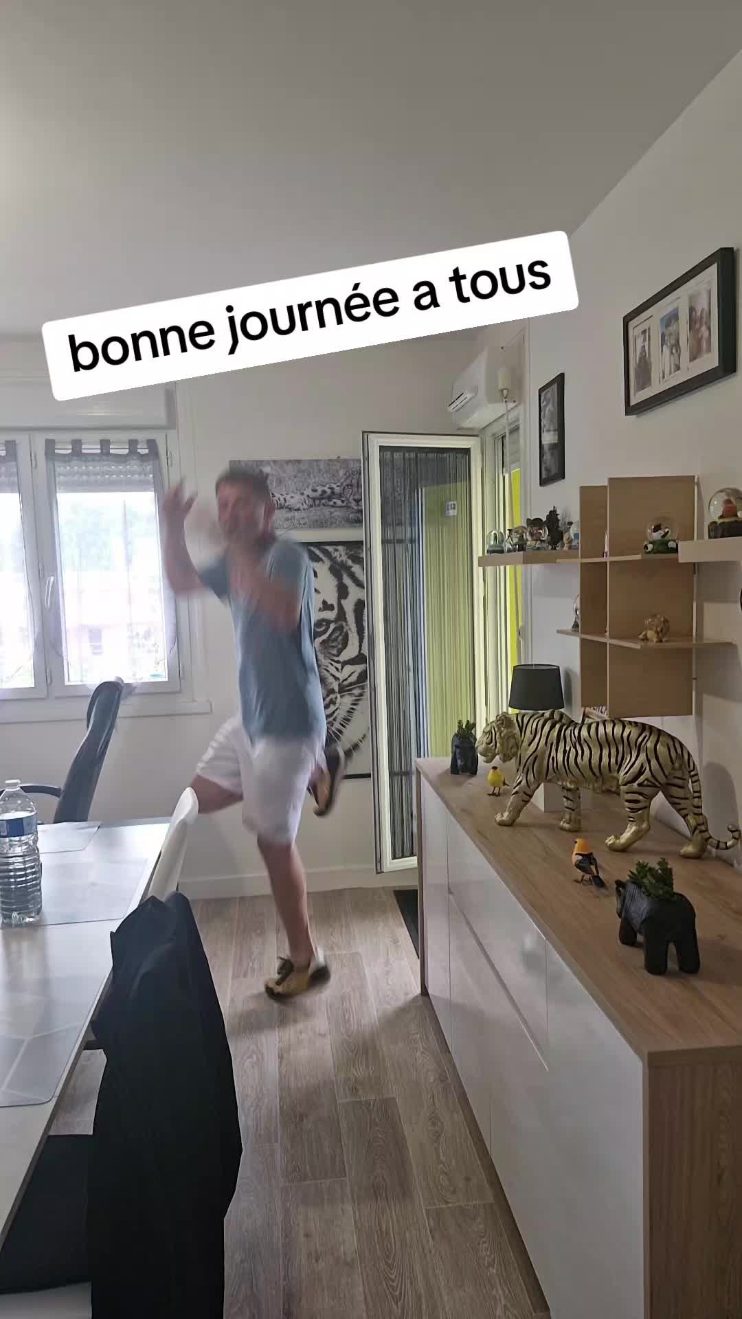@Le ph&eacute;nix