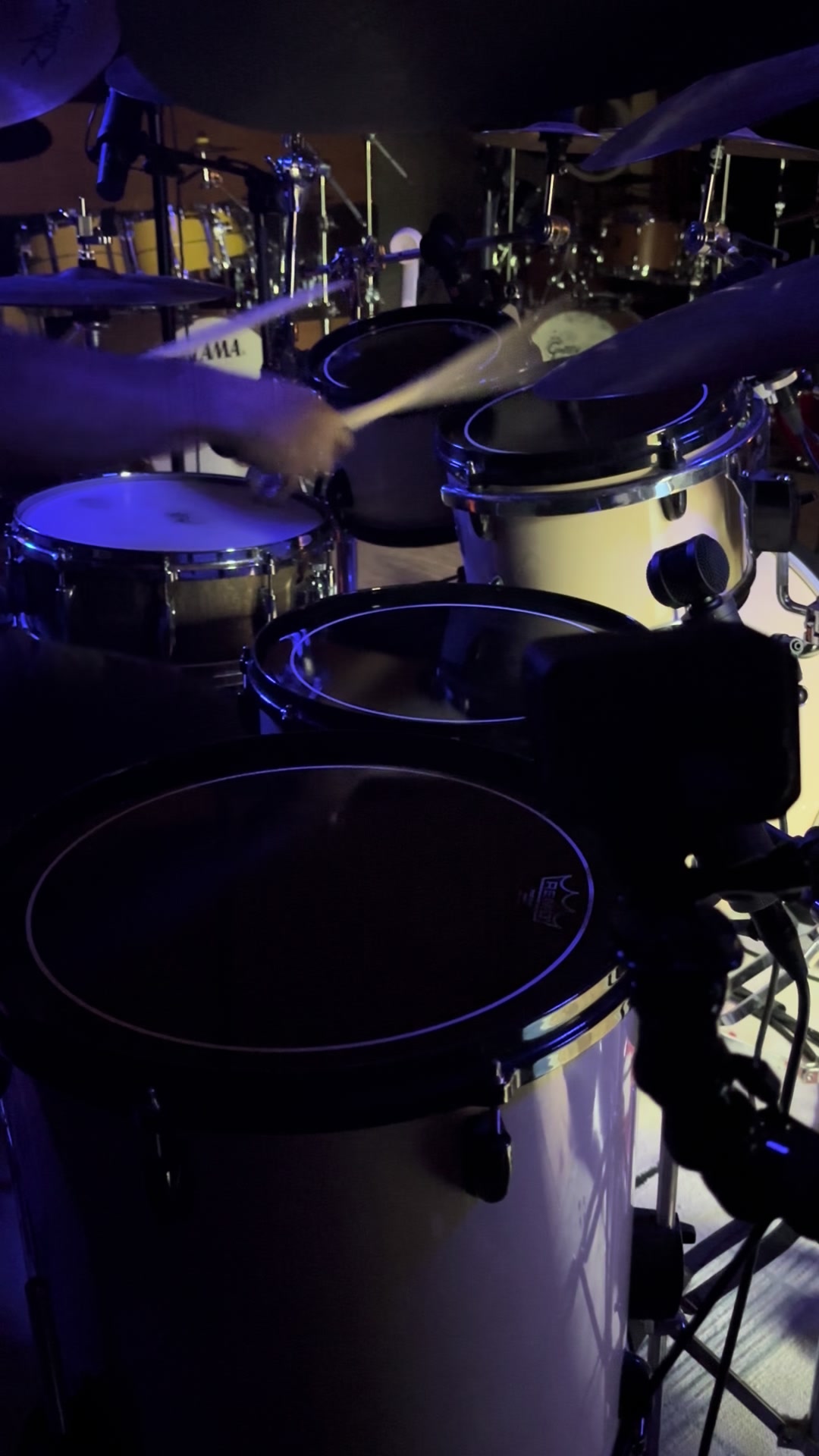 @Jacopo Tini Drummer