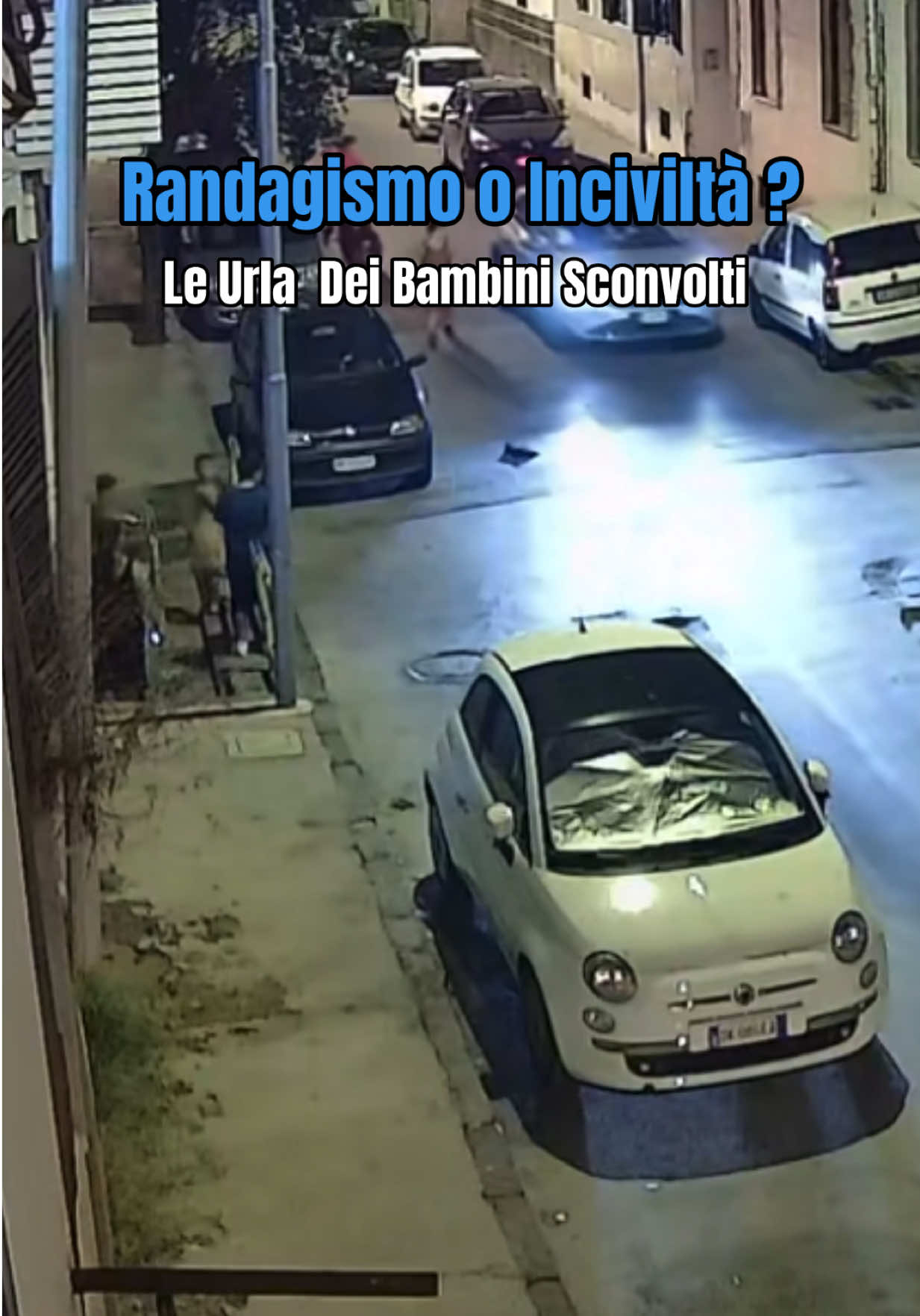 @Cronaca Campania