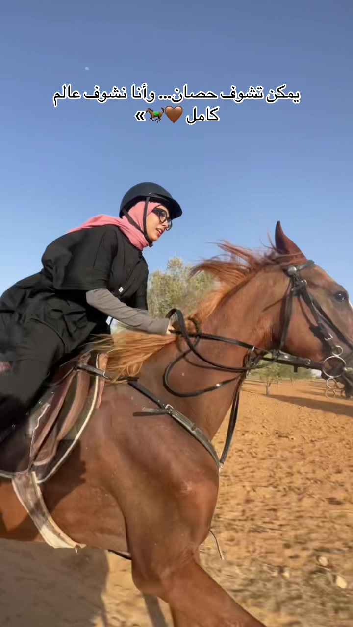 @Feres Ben Amor 🏇