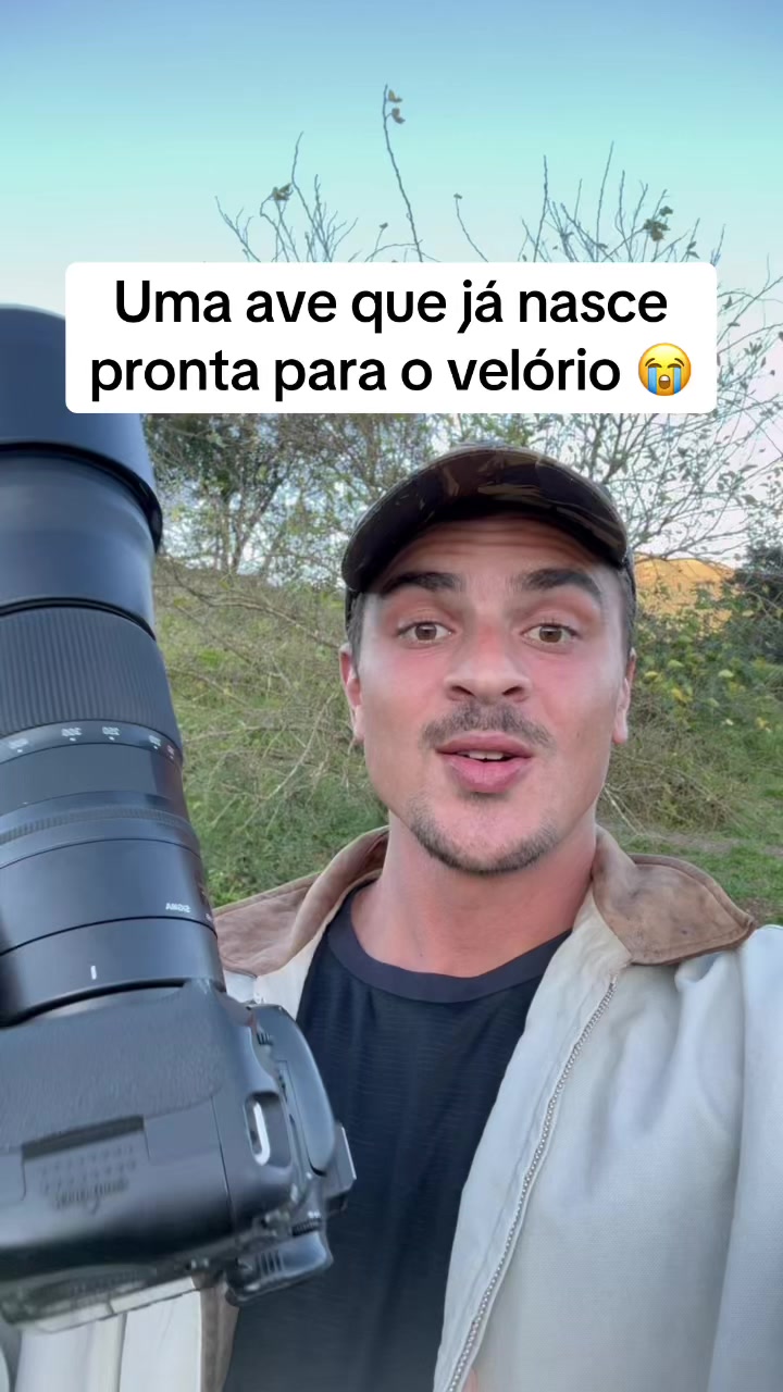 @Vin&iacute;cius K&ouml;hn P&aacute;ssaros